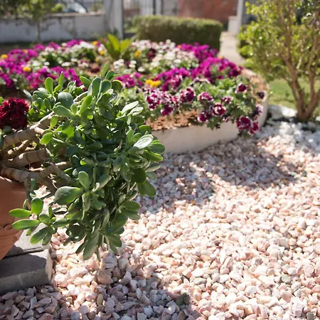 Elena's With View فيلة *