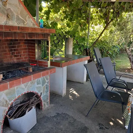 Elena's With View فيلة